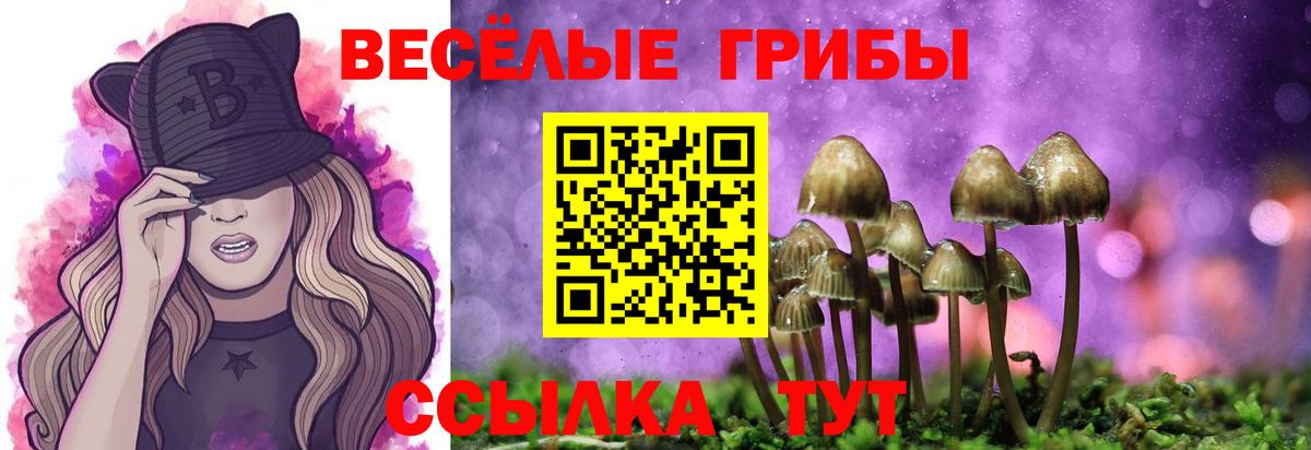 Галлюциногенные грибы Psilocybe  Вход с VPN  Ревда  Псилоцибиновые грибы Magic Shrooms 